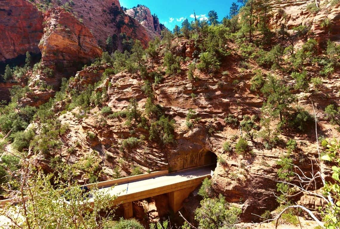 Scenic Drive in Zion