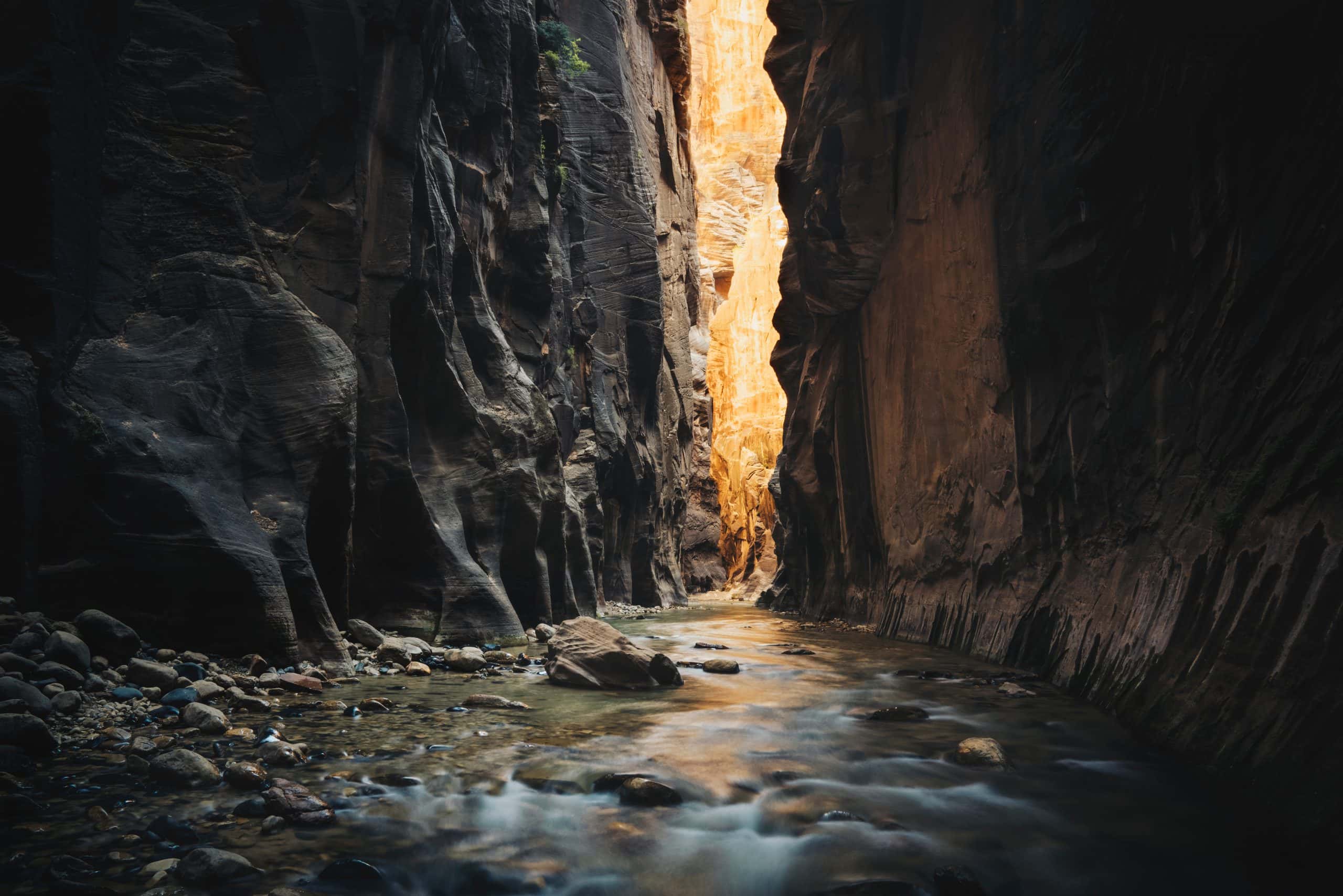 The Zion Narrows 