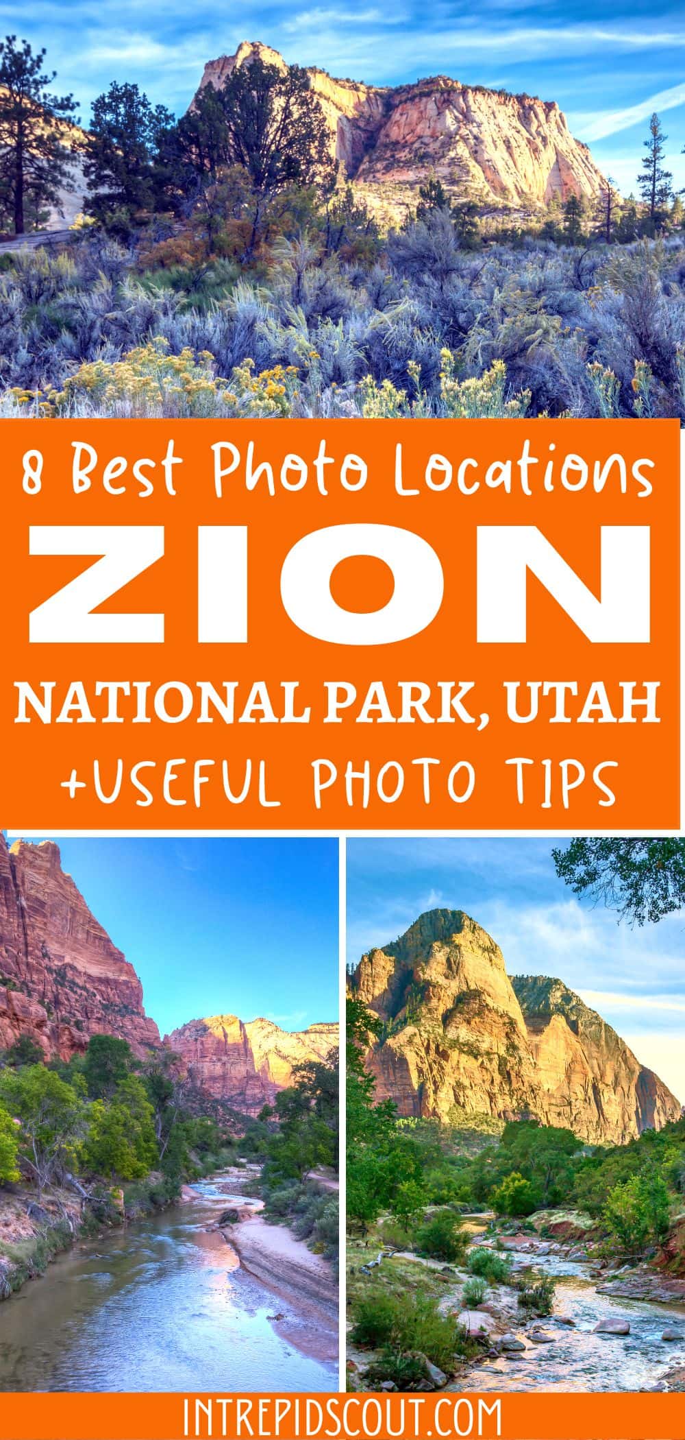 Best Photography Locations in Zion