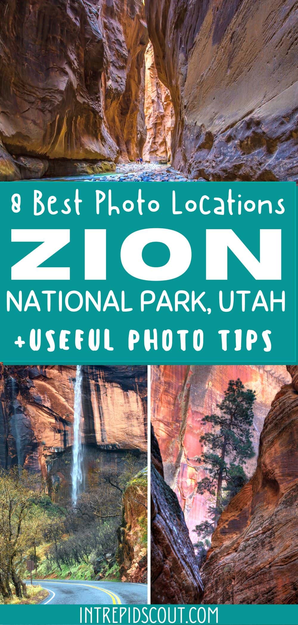 Best Photography Locations in Zion