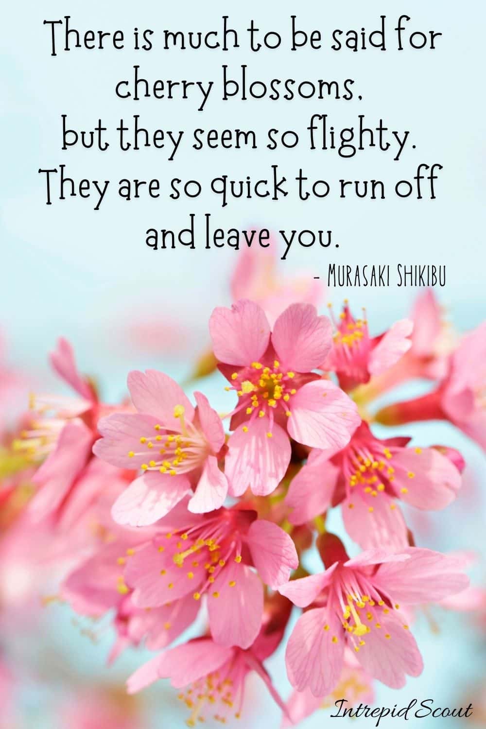 Cherry Blossom Quotes