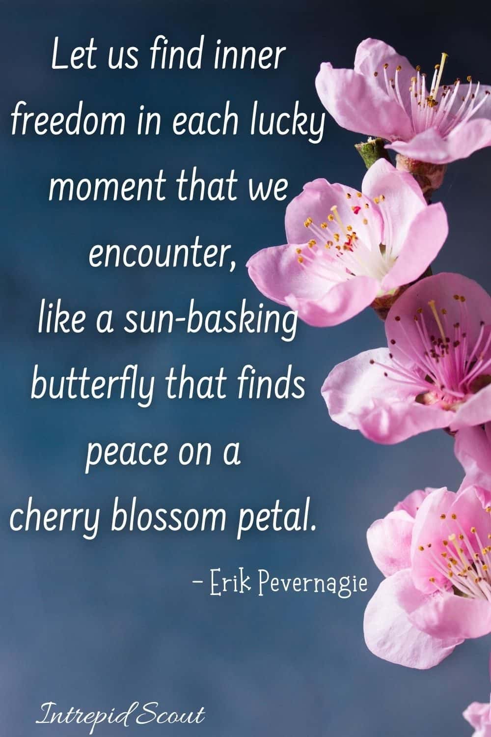 Cherry Blossom Quotes