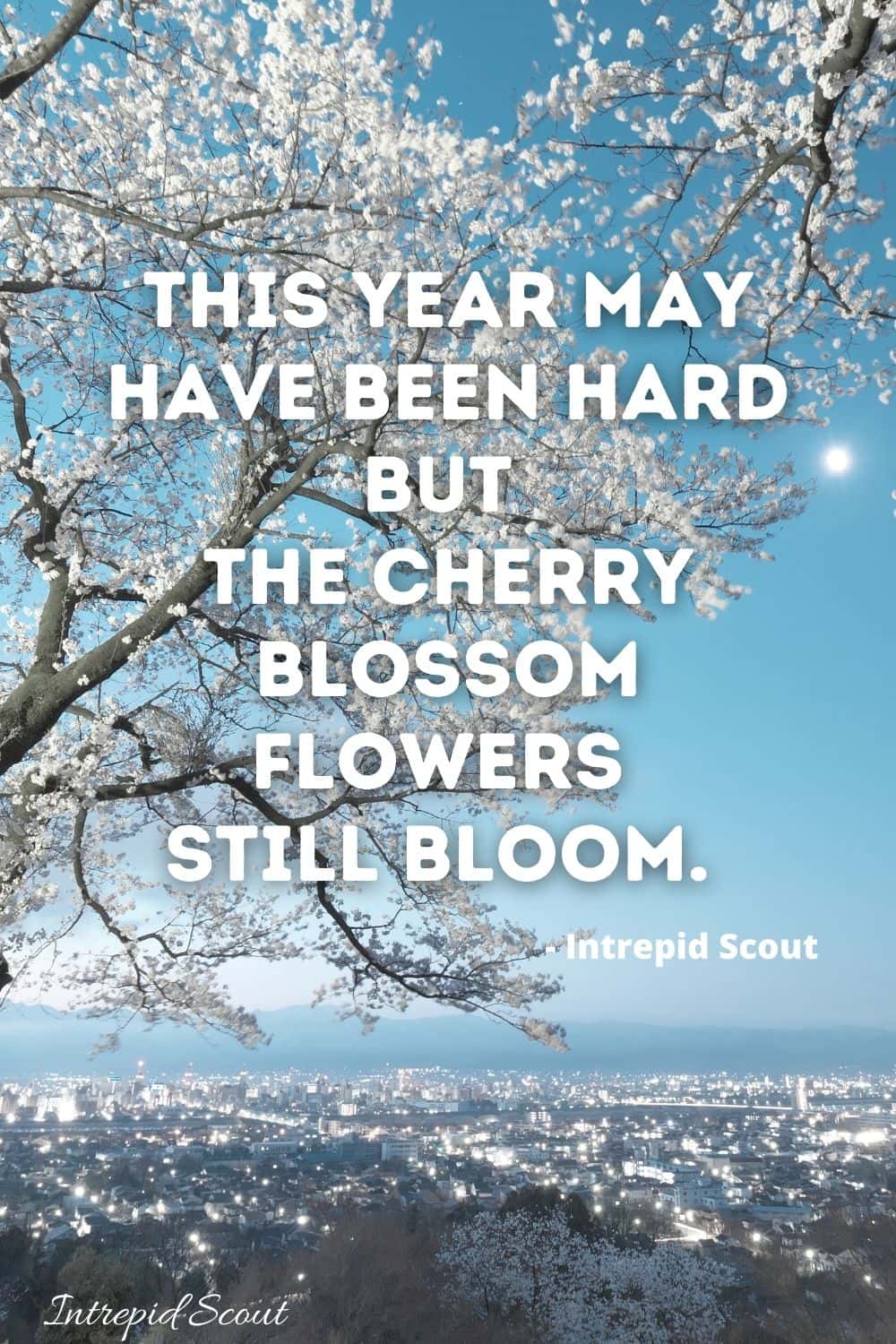 Cherry Blossom Quotes