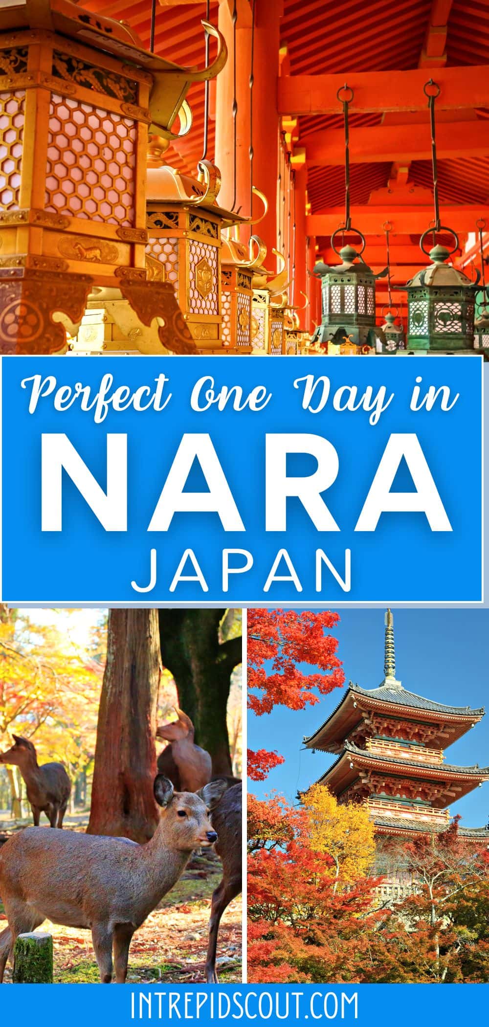 One Day in Nara