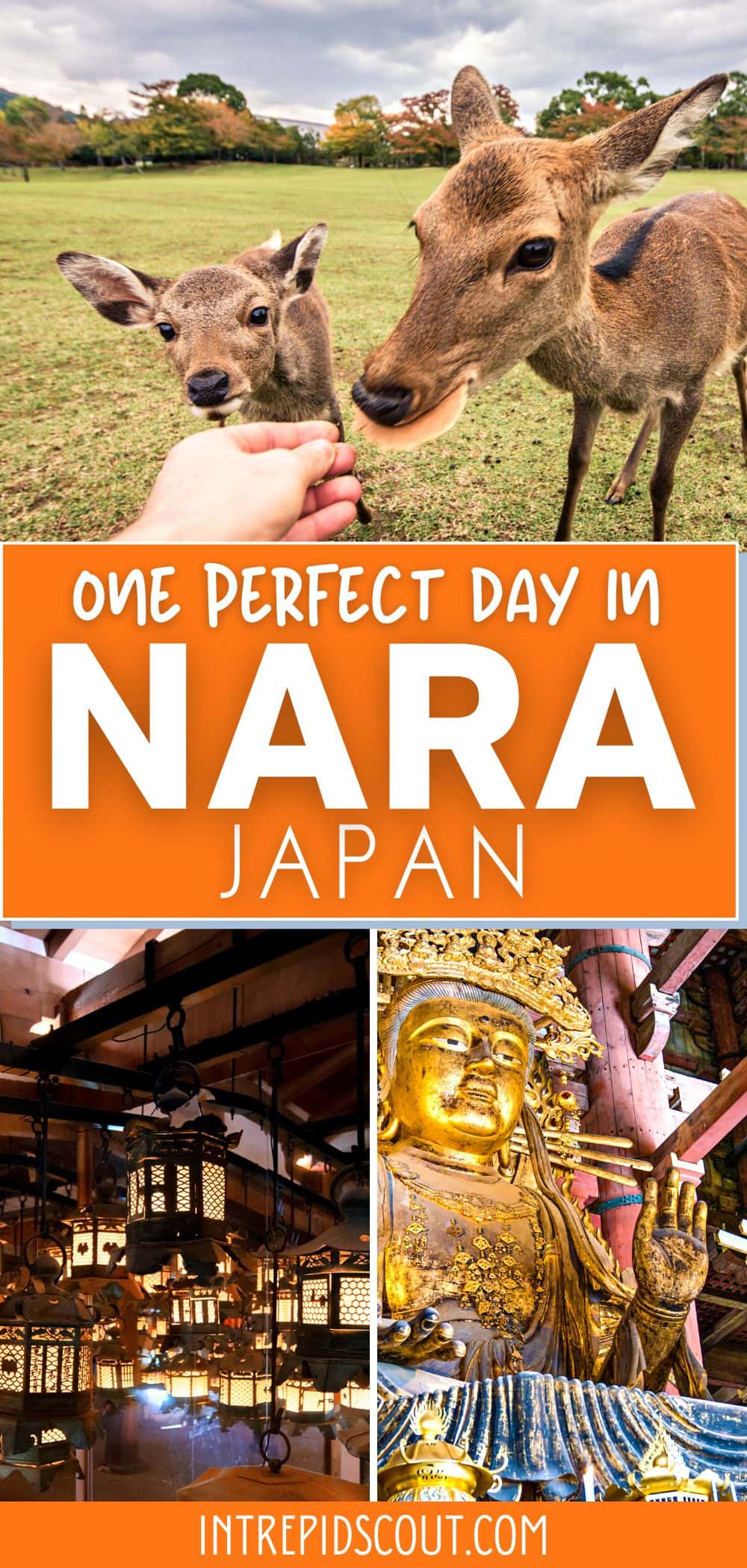 One Day in Nara