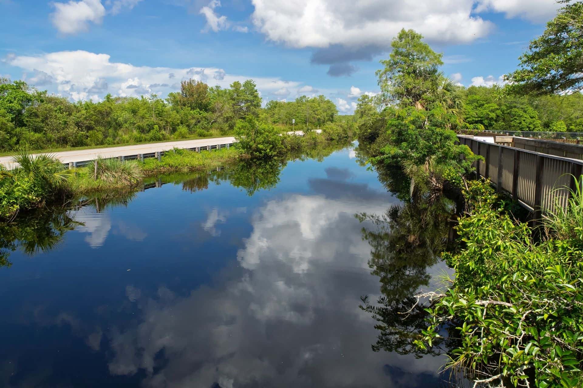 Things to Do in Big Cypress National Preserve