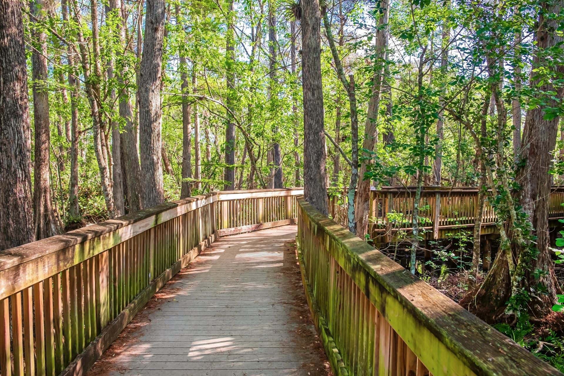 Big Cypress National Preserve