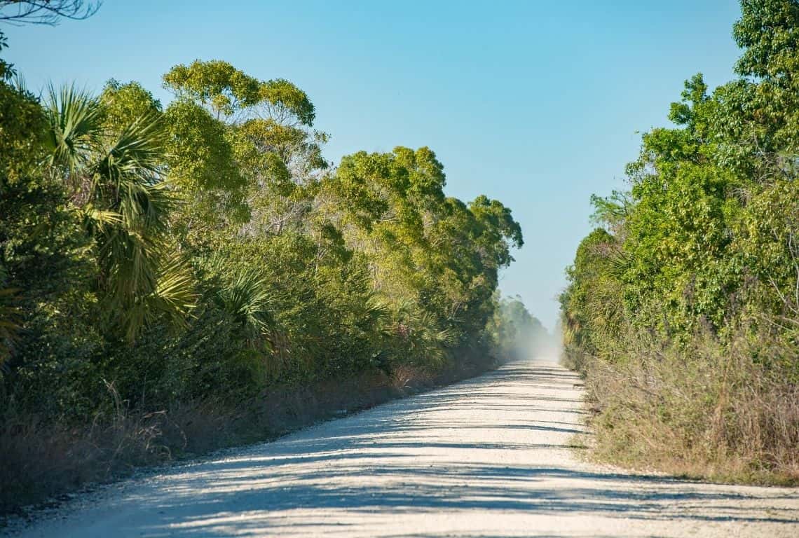 Loop Road in Big Cypress National Preserve