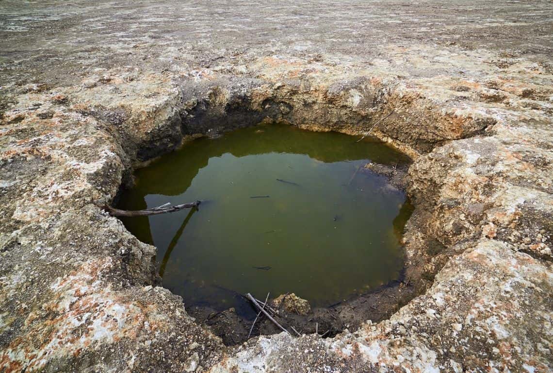 Everglades National Park in One Day