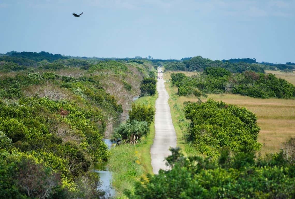 One Day in Everglades