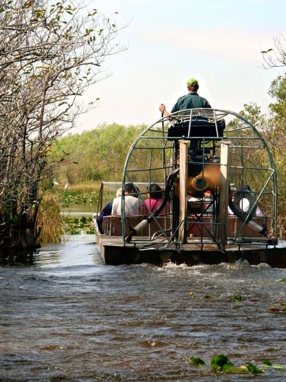 One Day in Everglades