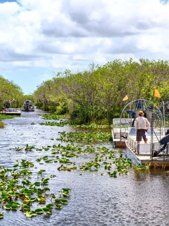 One Day in Everglades