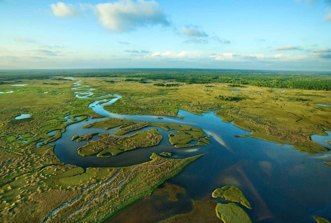 One Day in Everglades