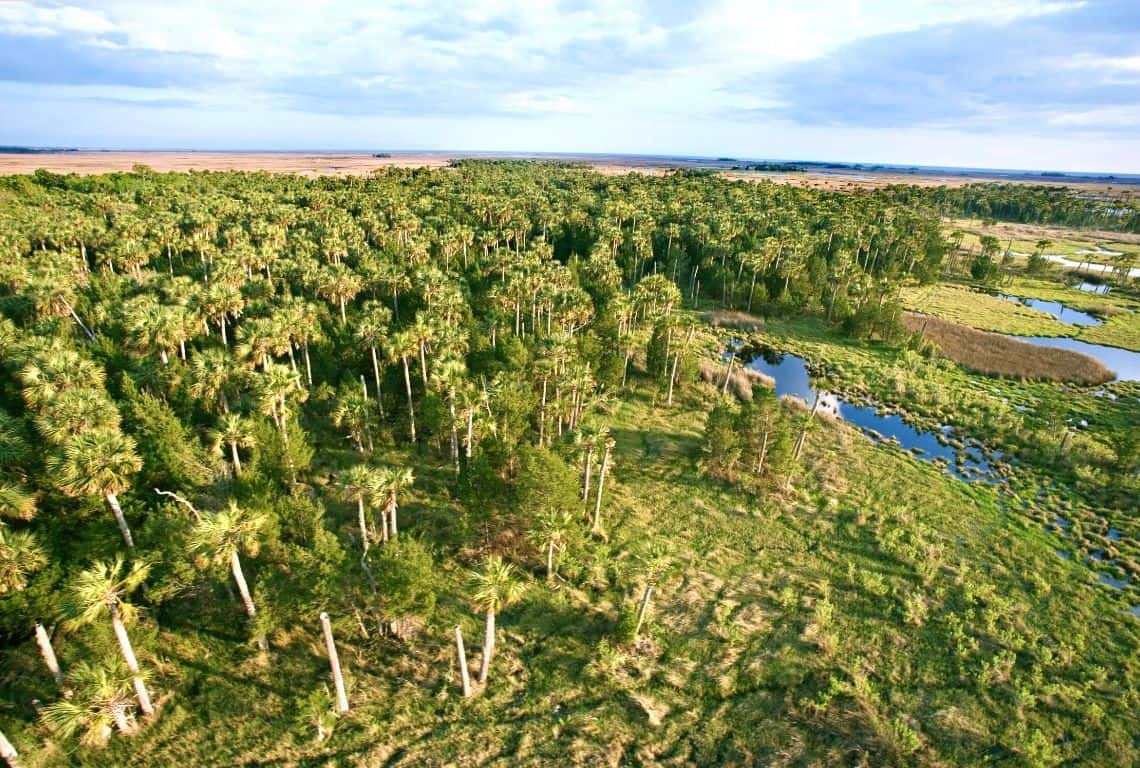 One Day in Everglades