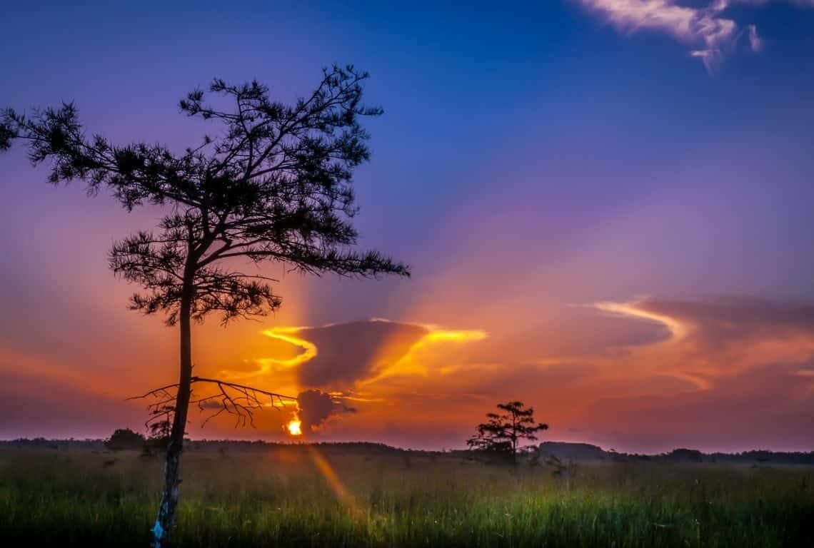 Sunrise in Everglades National Park