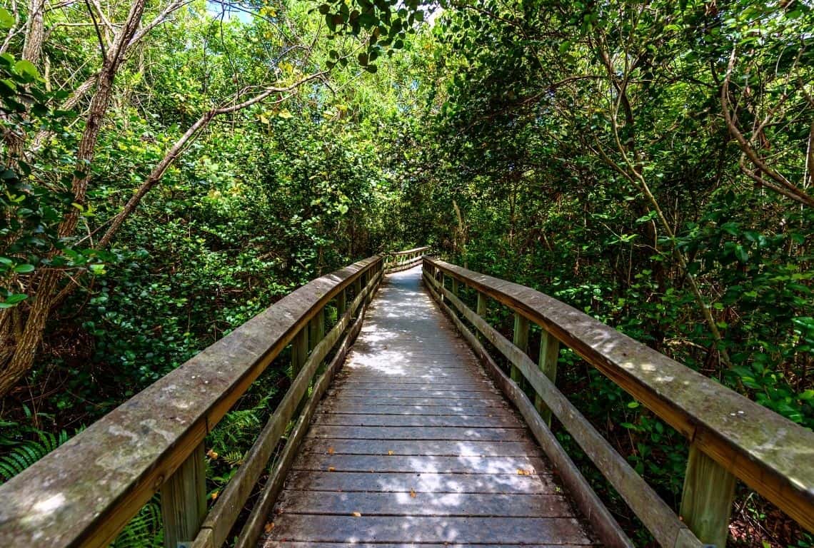 Everglades National Park in One Day