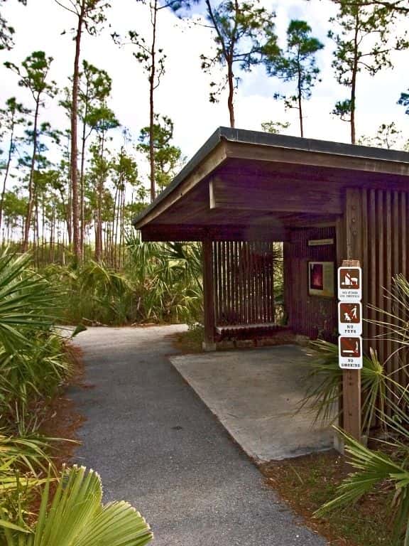 Pineland Trail in Everglades