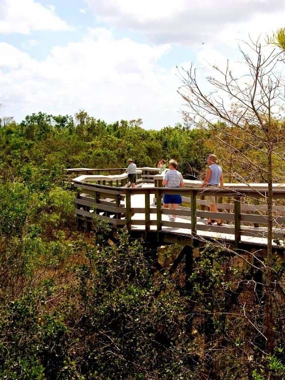 One Day in Everglades