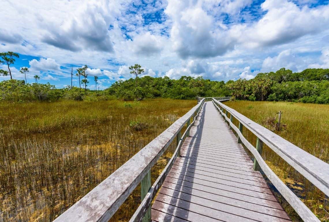 One Day in Everglades