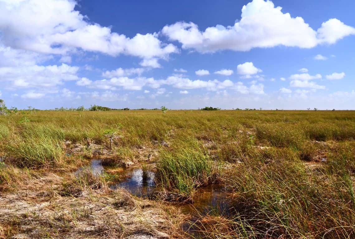 Everglades National Park in One Day