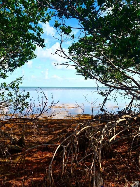 Long Key State Park in Florida Keys