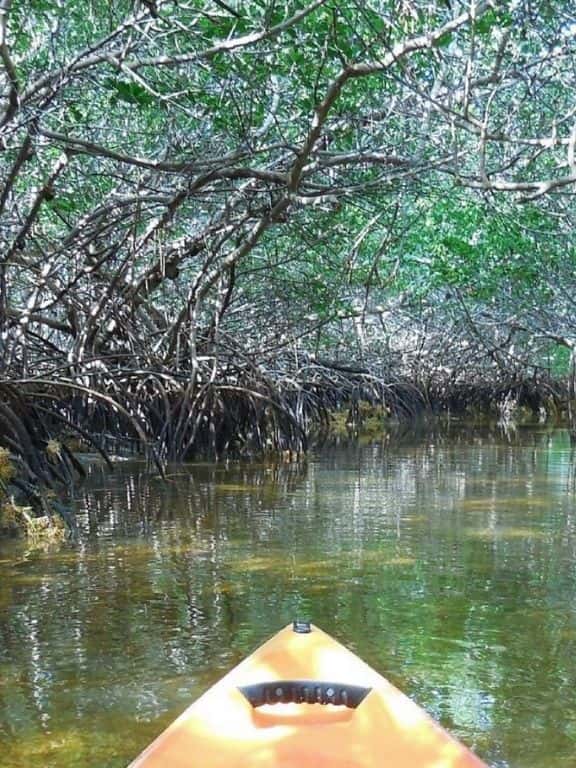 Curry Hammock State Park in Florida Keys