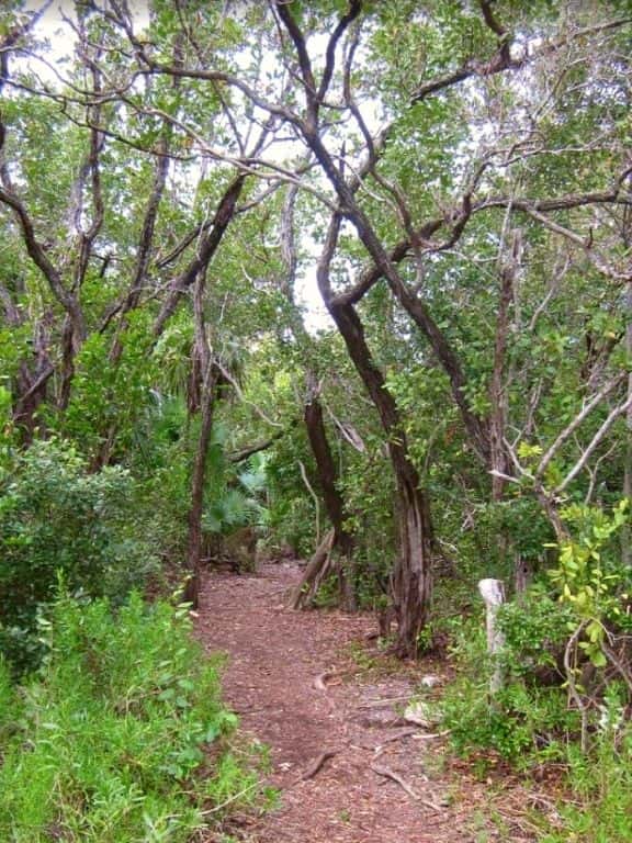 Curry Hammock State Park in Florida Keys