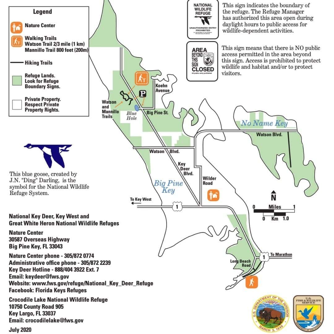 Key Deer Refuge in Florida Keys