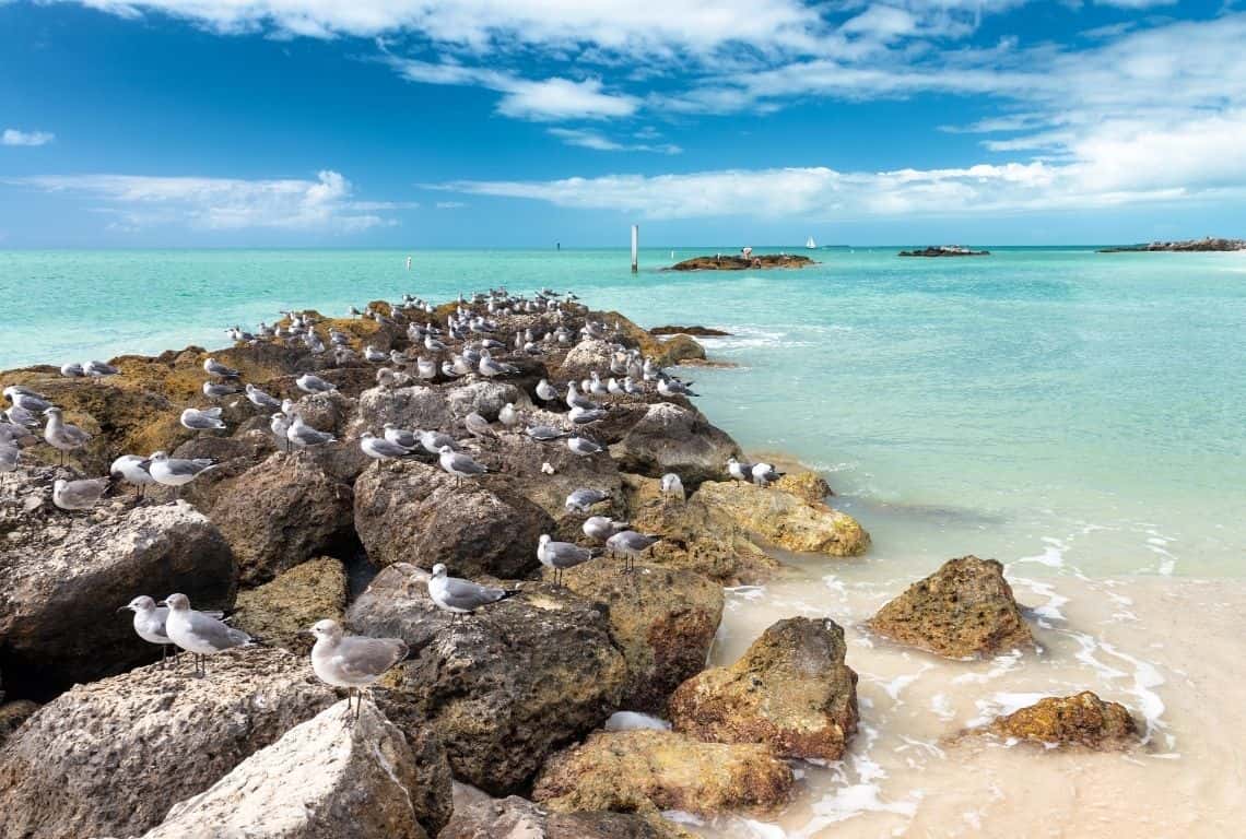 Fort Zachary Taylor Beach in Key West