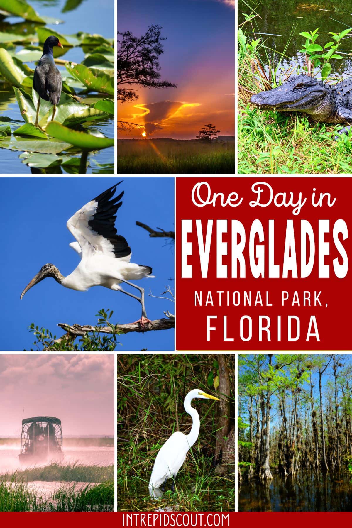 One Day in Everglades