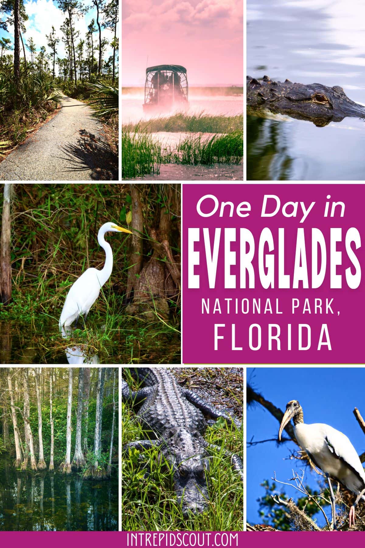 One Day in Everglades