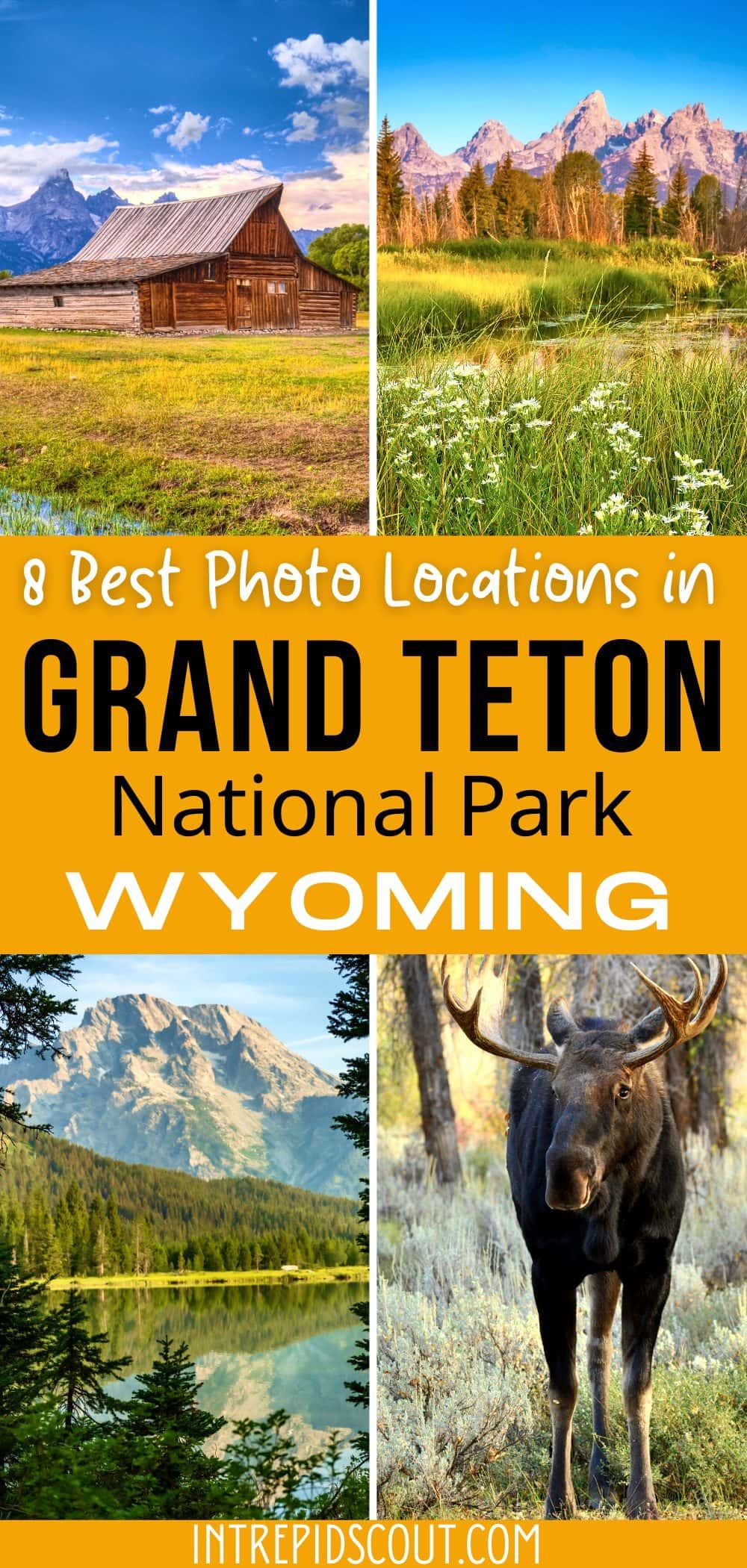 Best Photography Locations in Grand Teton