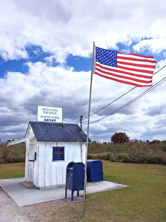 Things to Do in Big Cypress National Preserve