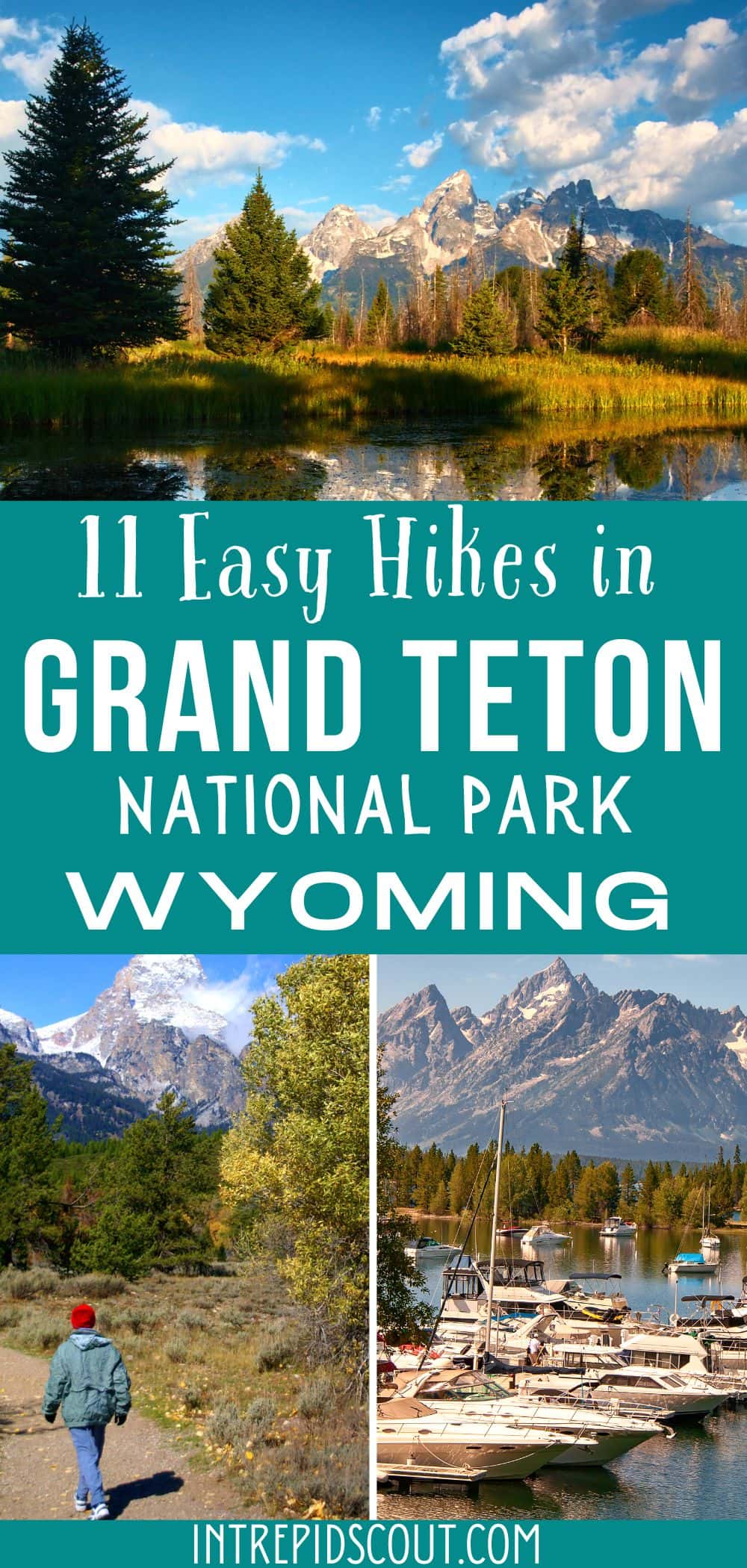 Easy Hikes in Grand Teton