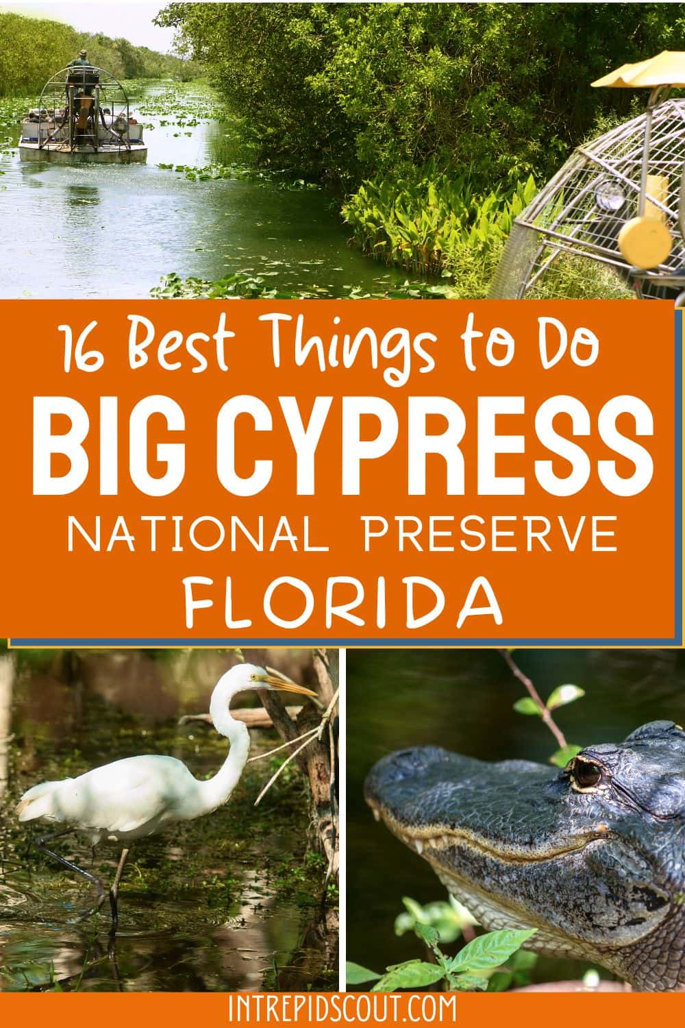 Things to Do in Big Cypress National Preserve