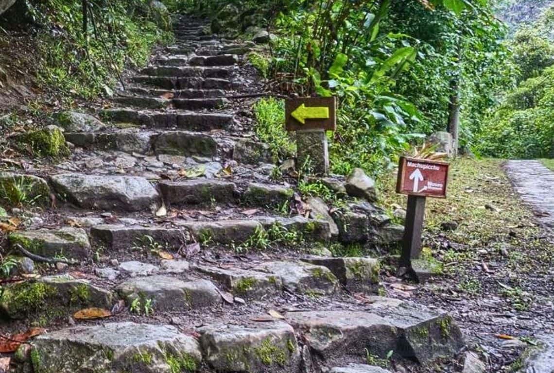 Hiking to Machu Picchu from Aguas Calientes