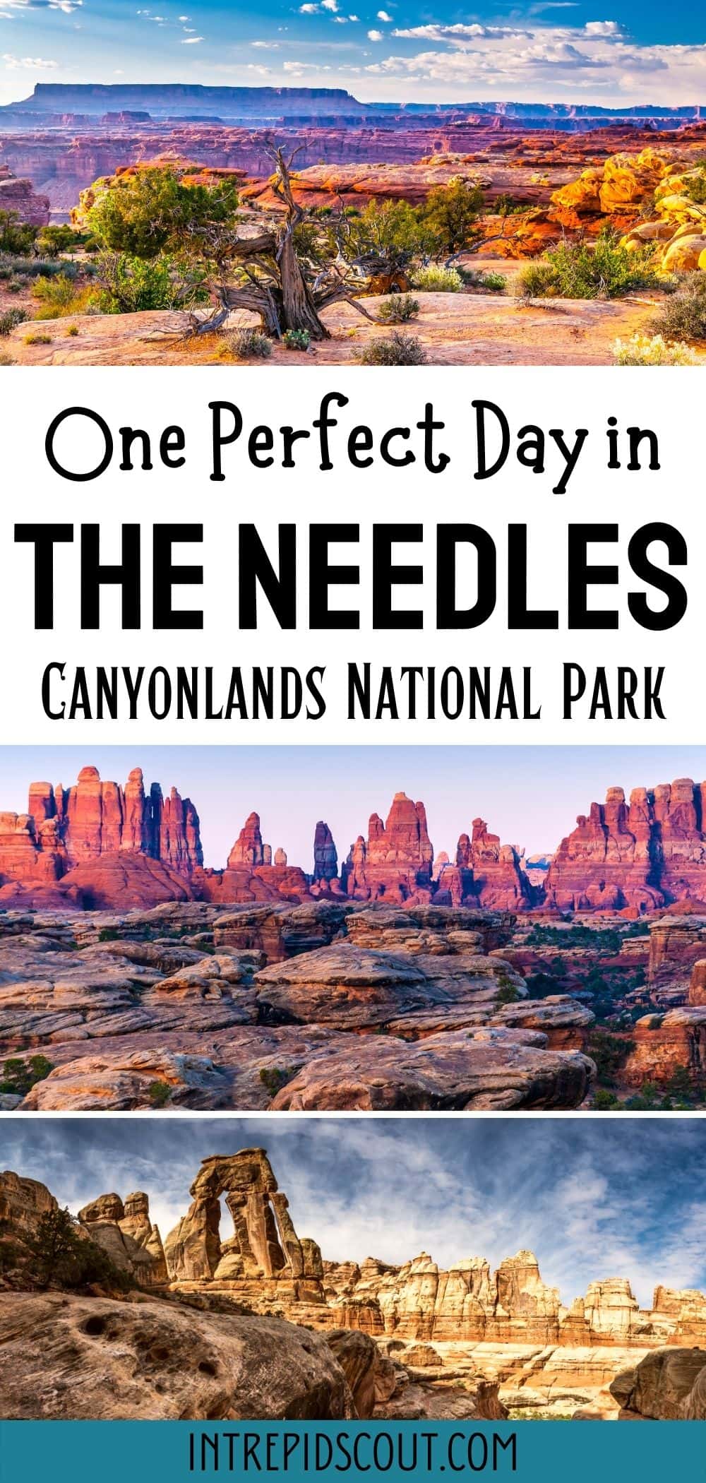 One Day in The Needles at Canyonlands One Day in The Needles at Canyonlands