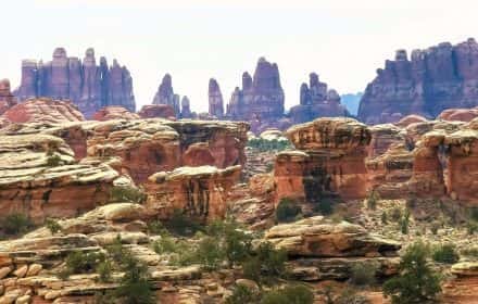 One Day in The Needles at Canyonlands