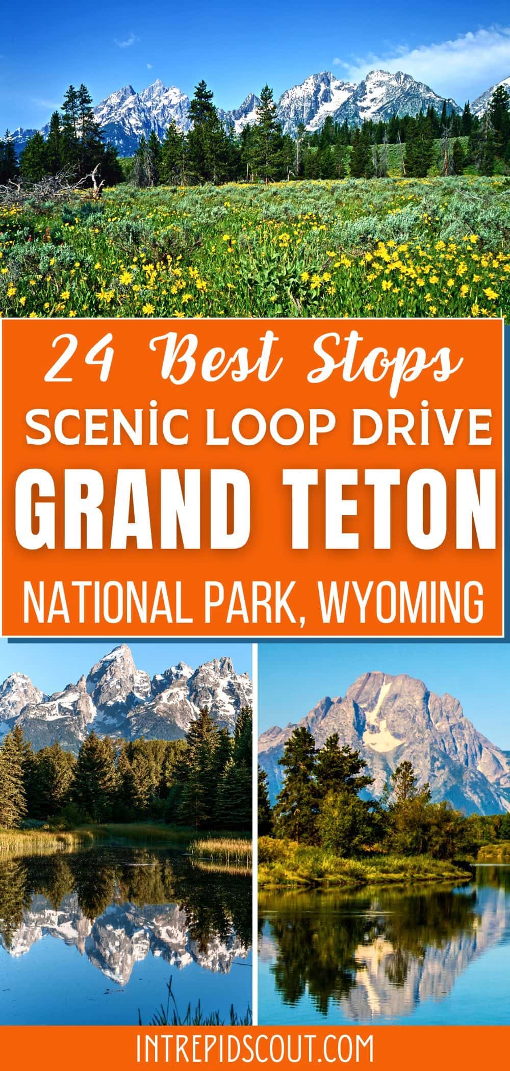 Scenic Loop Drive in Grand Teton