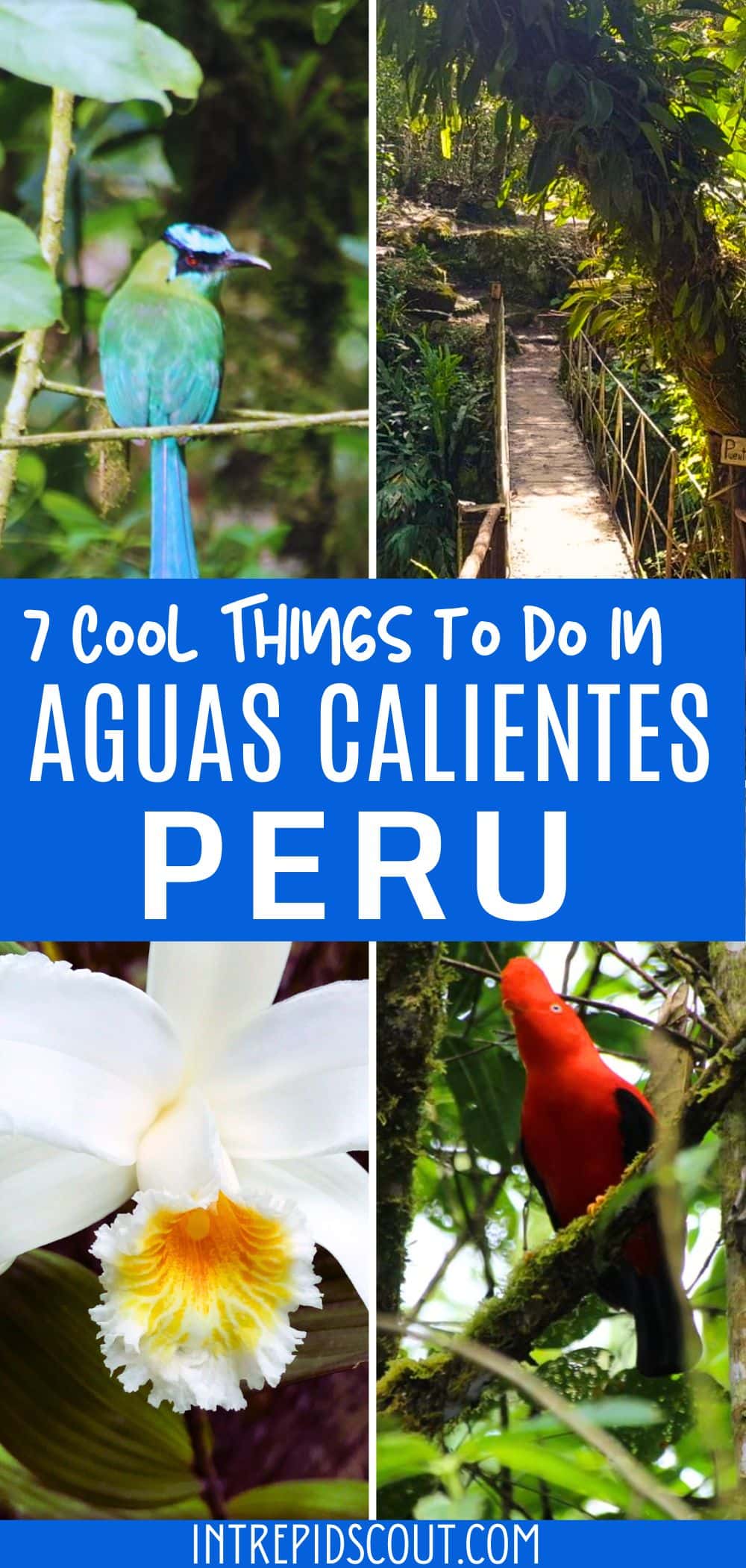 Things to Do in Aguas Calientes