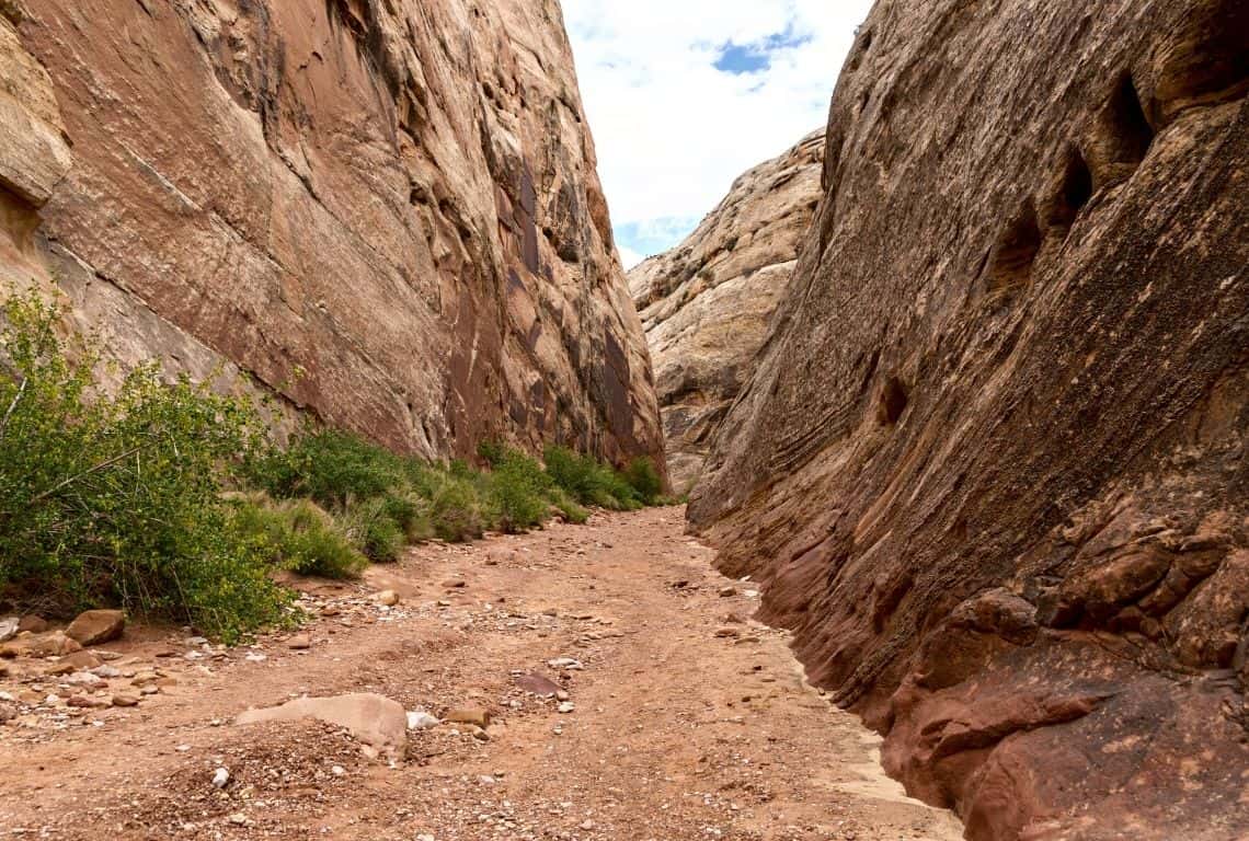 Capitol Gorge Trail in Capitol Reef