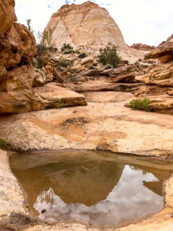 Scenic Drive in Capitol Reef