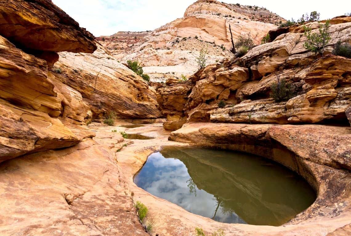 Capitol Gorge Trail