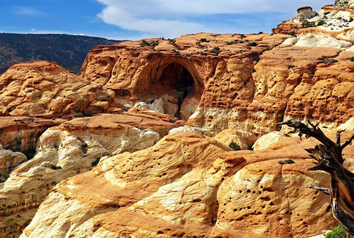 Cassidy Arch Trail