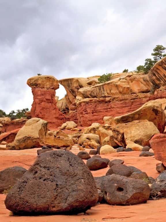 Cohab Canyon Trail in Capitol Reef