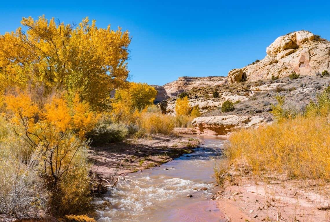 Fremont River Trail in Capitol Reef