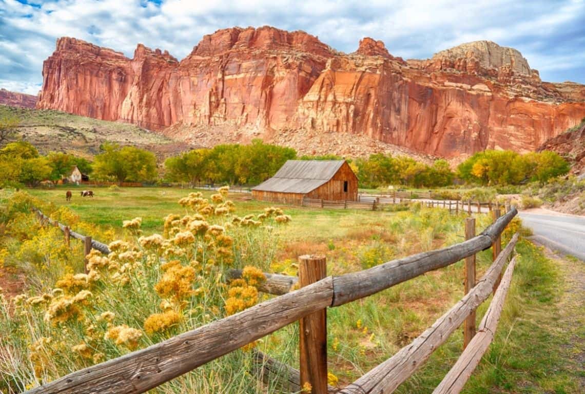 Fruita District in Capitol Reef National Park
