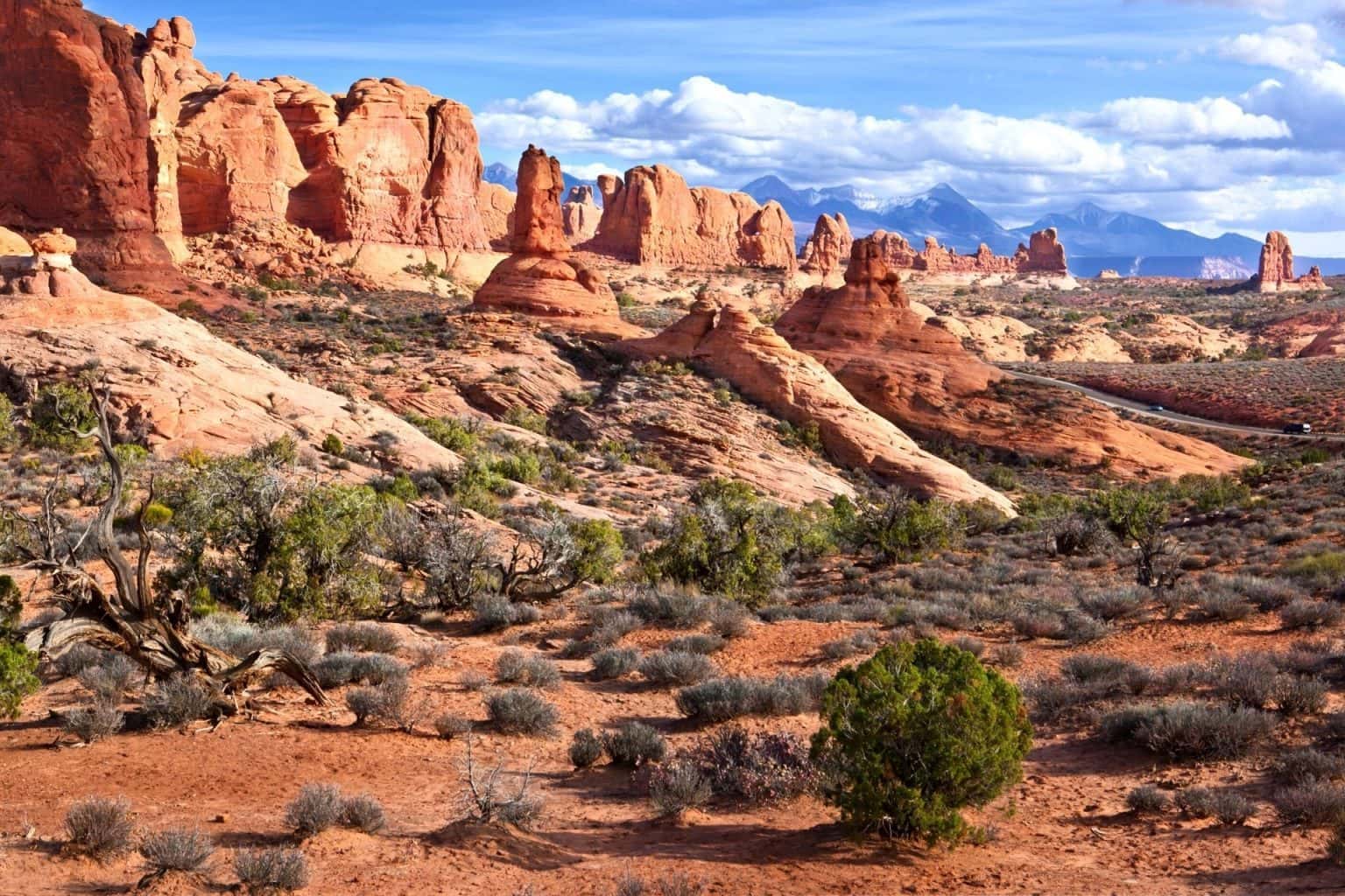16 Arches National Park Tips for FirstTime Visitors (Ultimate Guide to