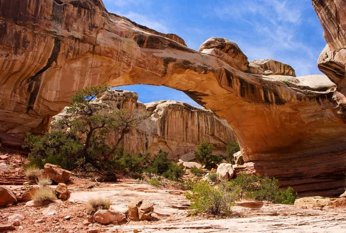 Hickman Bridge Trail