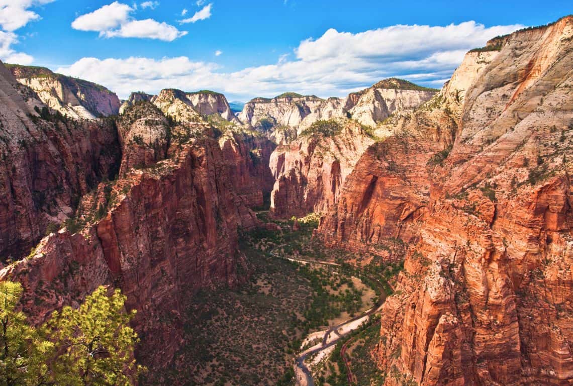 View from Angel's Landing